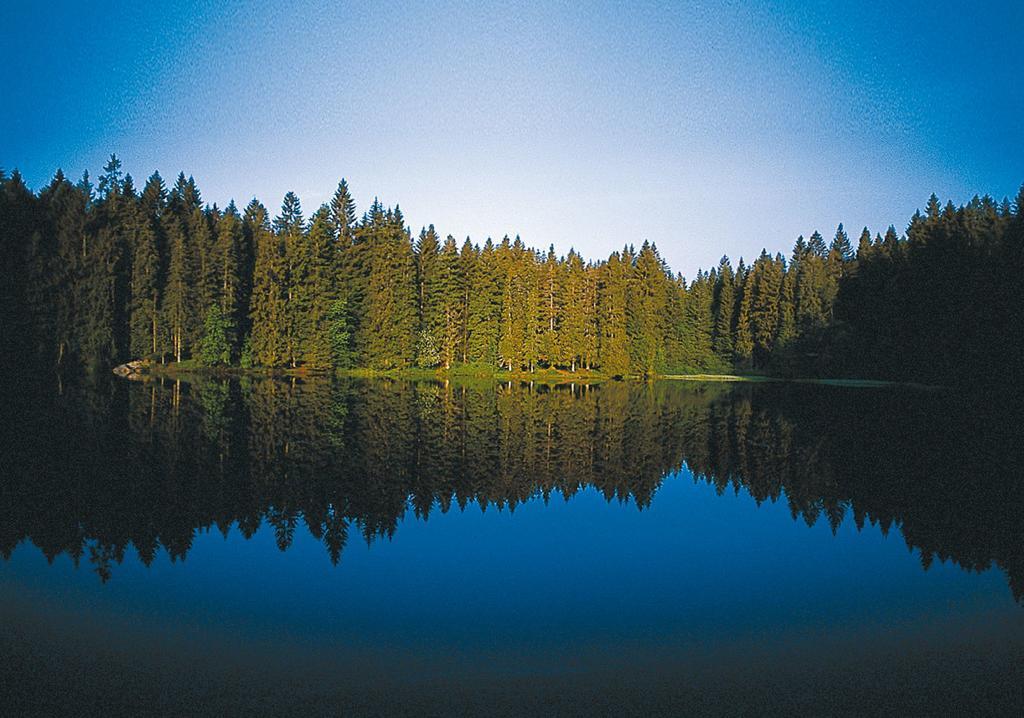 Ferien Residenz Bergfried Hotell Hinterzarten Exteriör bild