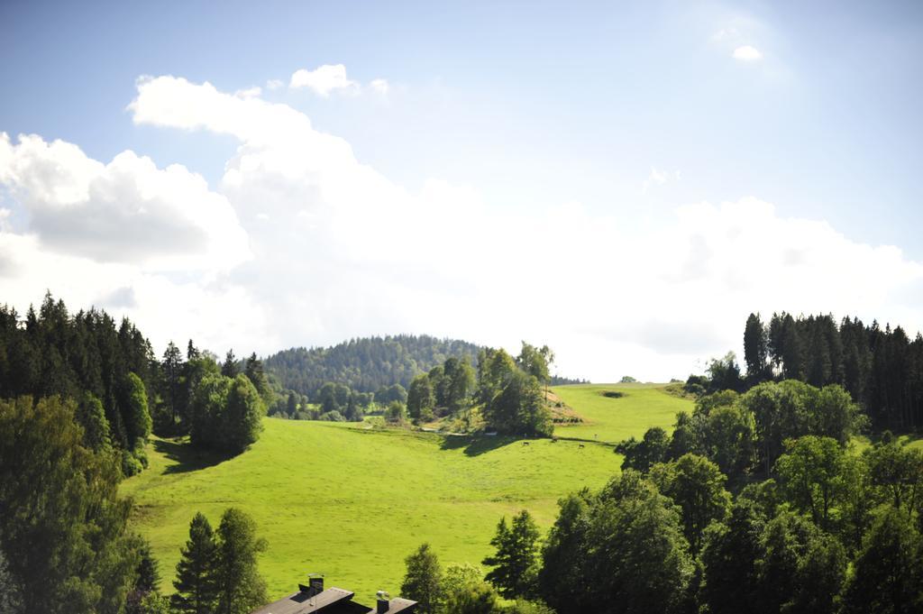 Ferien Residenz Bergfried Hotell Hinterzarten Exteriör bild